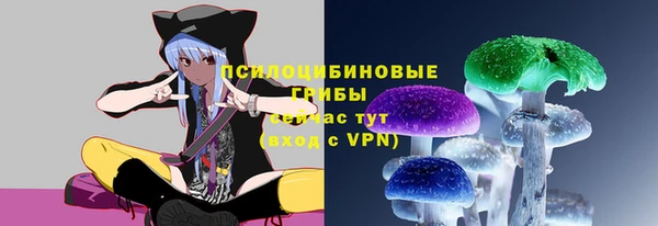 дживик Арсеньев