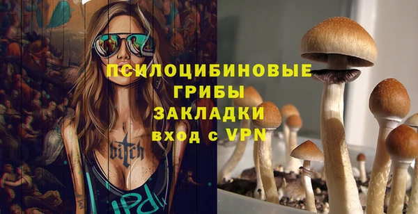 дживик Арсеньев