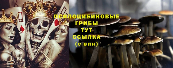 молекула духа Армянск