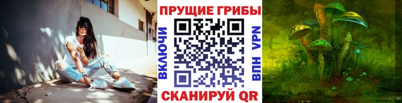 Псилоцибиновые грибы Psilocybine cubensis  Купить  Тотьма 
